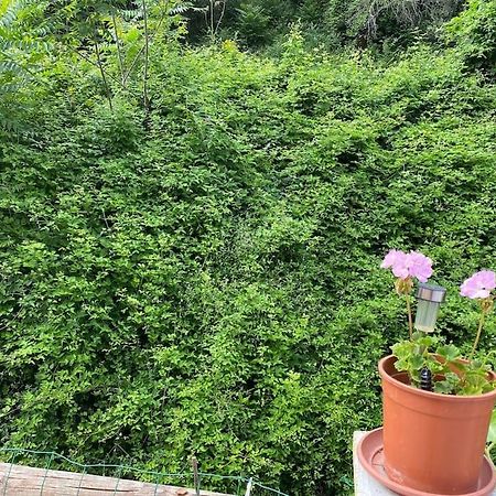 Villa Serenice - F2 Au Calme, Climatise, Wifi Et Parking Gratuit Buitenkant foto