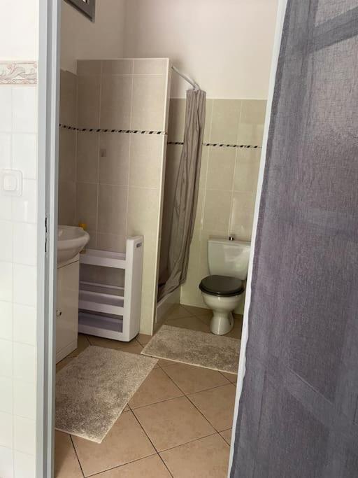 Villa Serenice - F2 Au Calme, Climatise, Wifi Et Parking Gratuit Buitenkant foto
