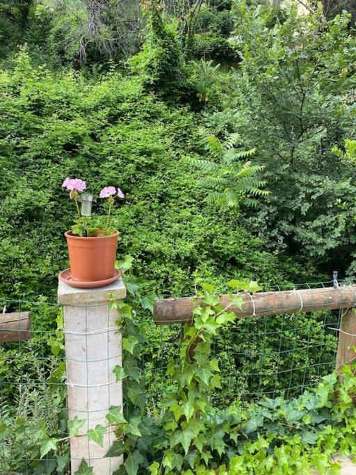 Villa Serenice - F2 Au Calme, Climatise, Wifi Et Parking Gratuit Buitenkant foto